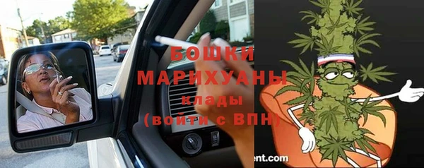 гашик Алексеевка