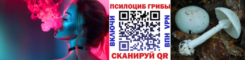 Галлюциногенные грибы GOLDEN TEACHER  наркотики  Нарьян-Мар 