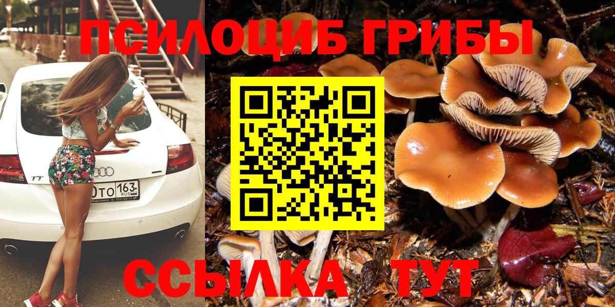 Псилоцибиновые грибы Psilocybine cubensis Нарьян-Мар